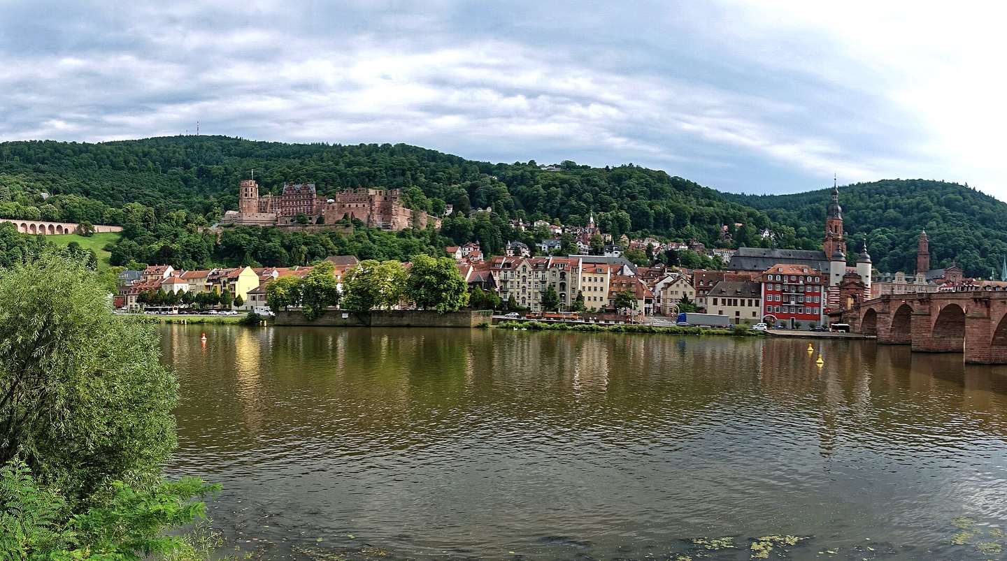 Heidelberger Altstadt mit Alter Brücke und Schloss vom Neckarufer